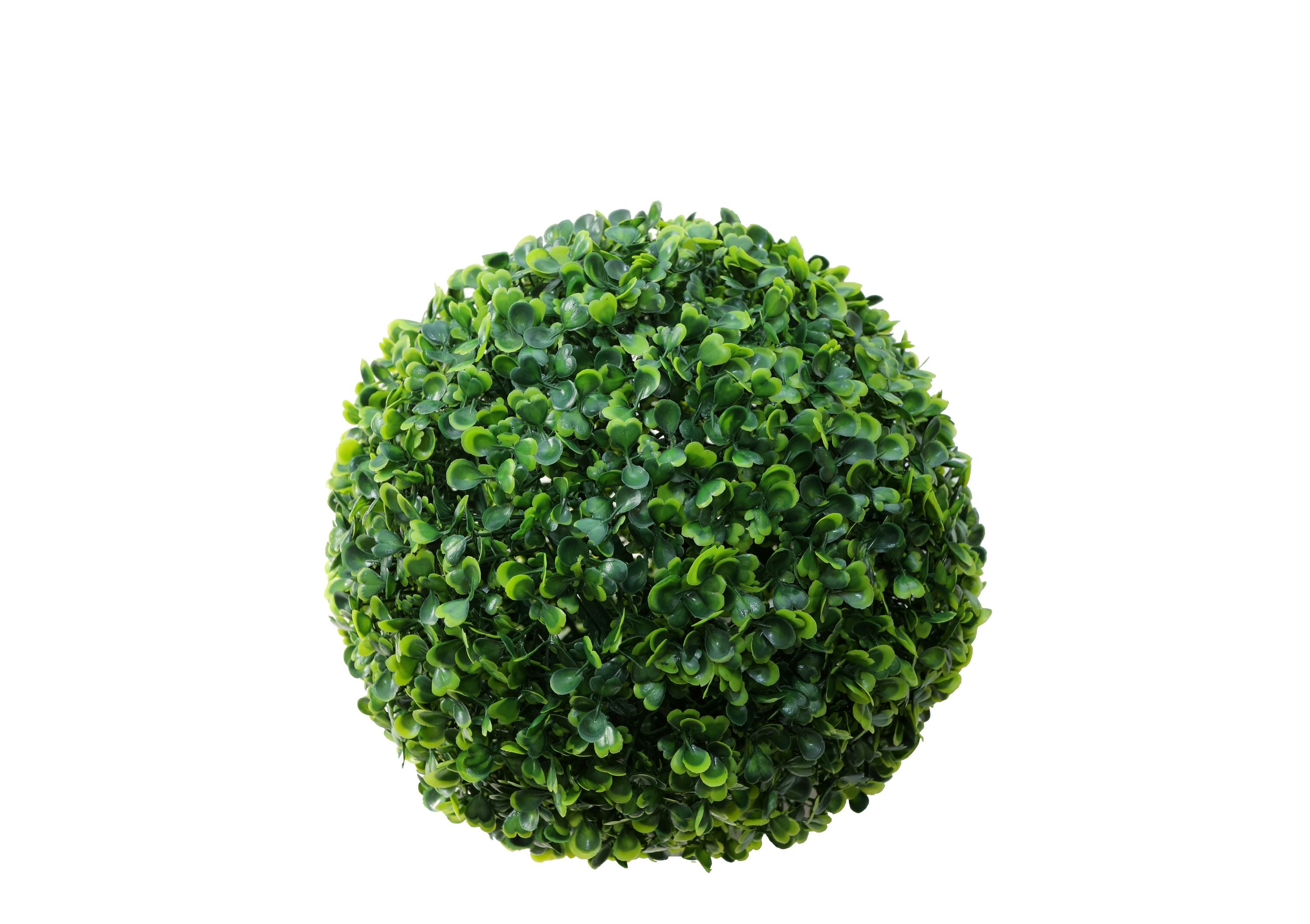 Buchsbaumkugel Boheme