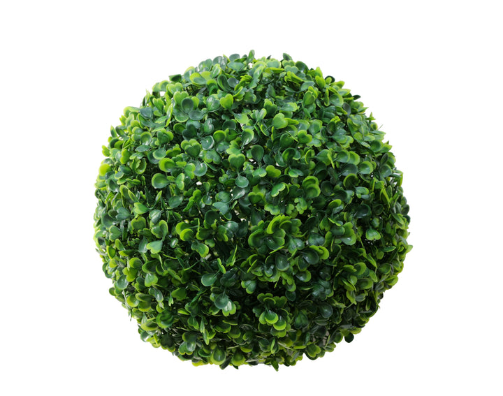 Buchsbaum Kugel Indira