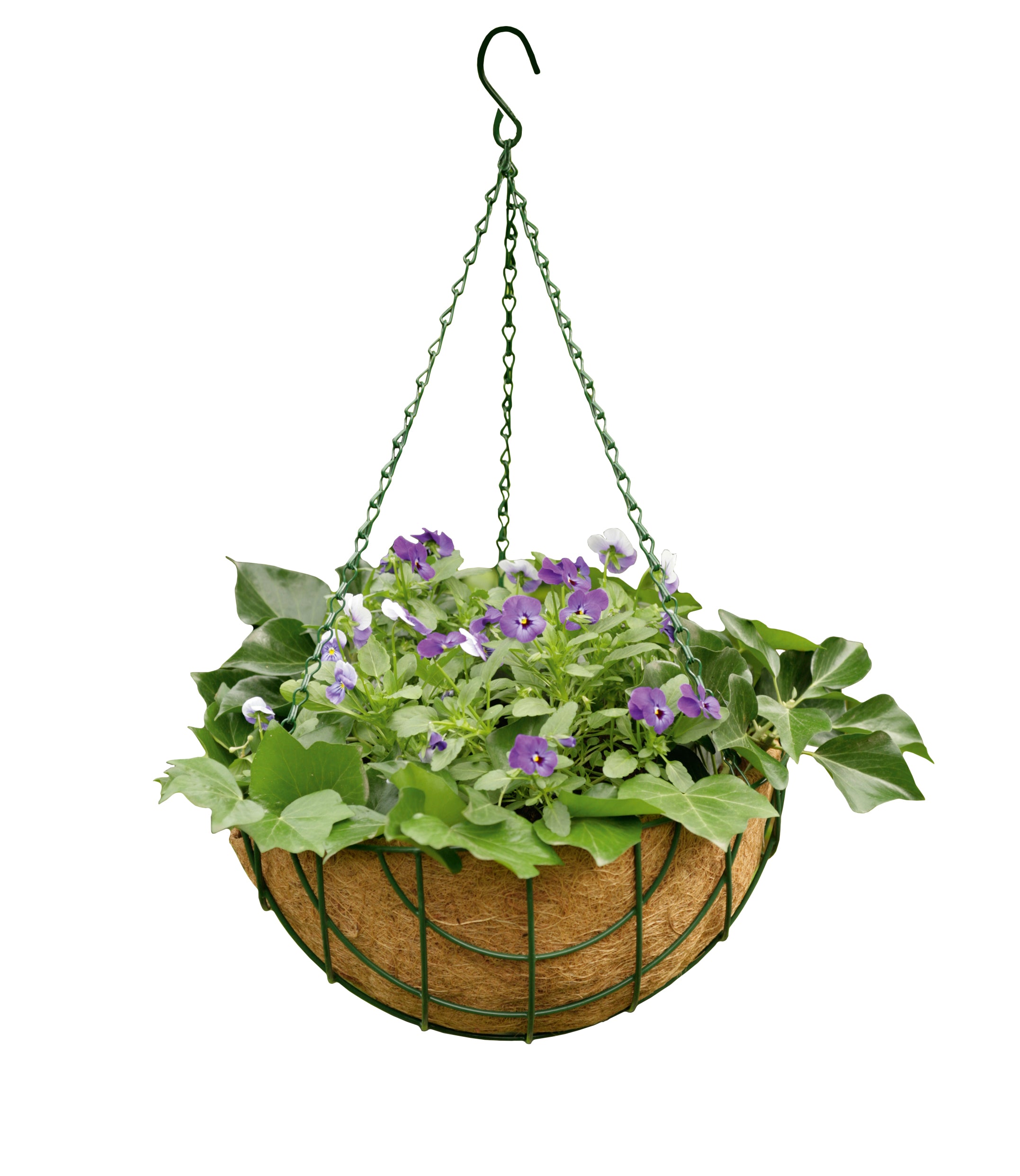 Blumenampel Hängekorb Quinley